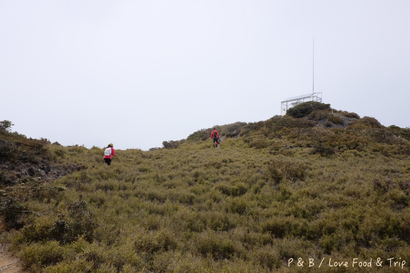 DSCF3145.jpg DSCF3145.jpg