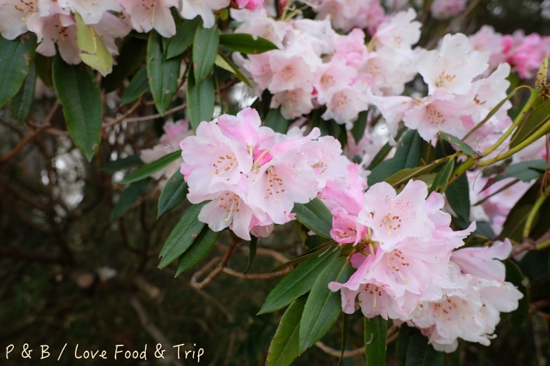 DSCF3169.jpg DSCF3169.jpg