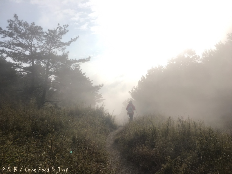 S__114548753.jpg S__114548753.jpg