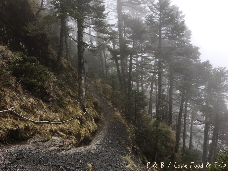 S__114548752.jpg S__114548752.jpg