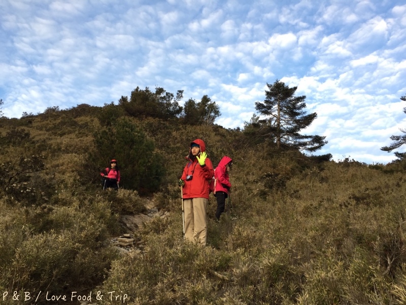 S__114548765.jpg S__114548765.jpg