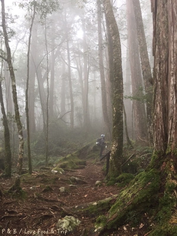 S__114548766.jpg S__114548766.jpg