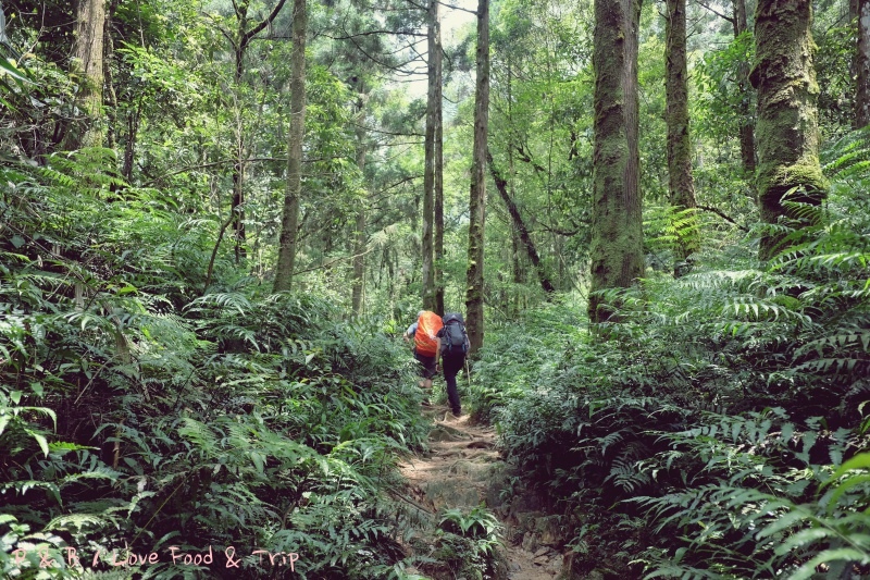 DSCF3204.jpg DSCF3204.jpg