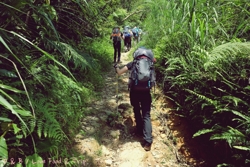 DSCF3195.jpg DSCF3195.jpg