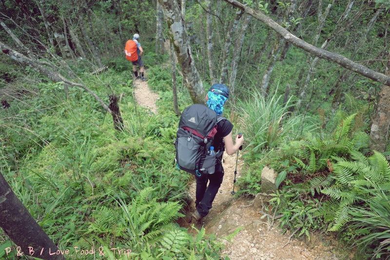 DSCF3214.jpg DSCF3214.jpg