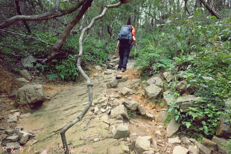 DSCF3215.jpg DSCF3215.jpg