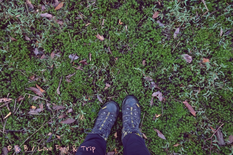 DSCF3271.jpg DSCF3271.jpg