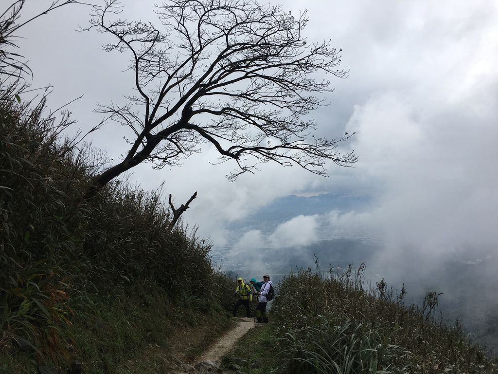 IMG_8272.JPG IMG_8272.JPG