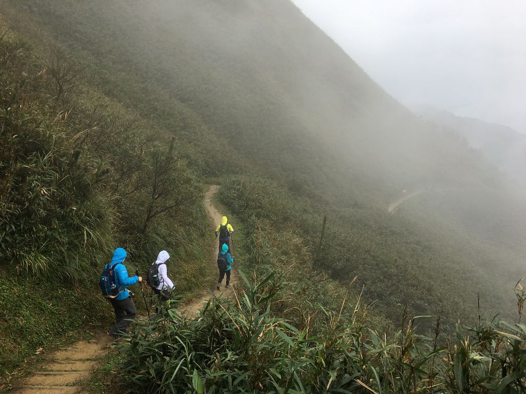 IMG_8263.JPG IMG_8263.JPG