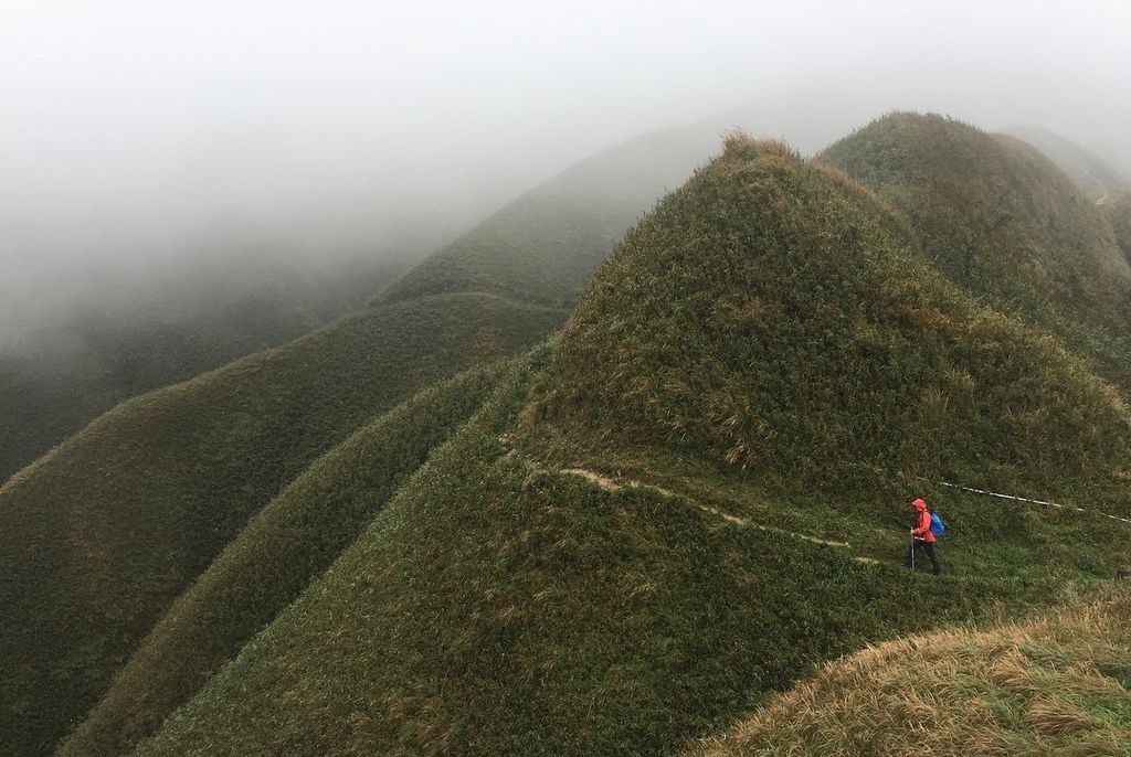 IMG_8331.JPG IMG_8331.JPG