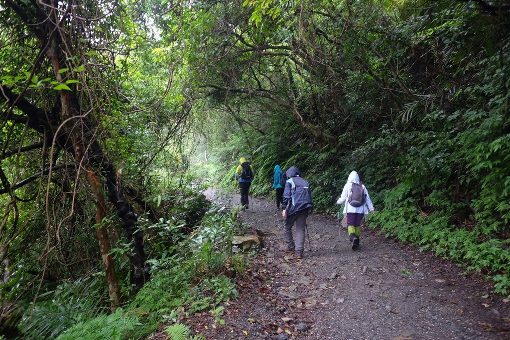 S__167002118.jpg S__167002118.jpg