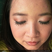 Daiso Makeup Challenge-Video1-Warm Earthy Eyes-12.JPG