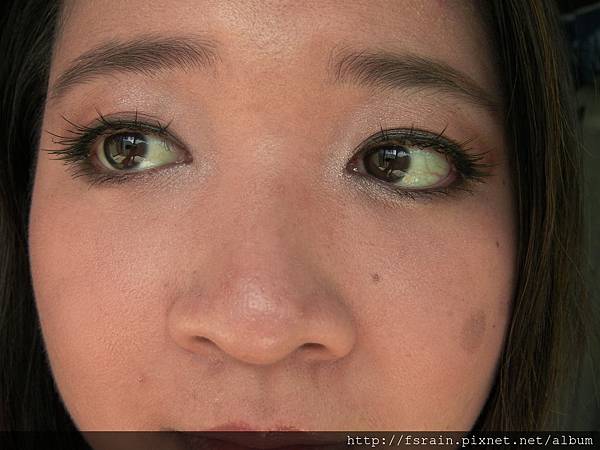 Daiso Makeup Challenge-Video1-Warm Earthy Eyes-18.JPG