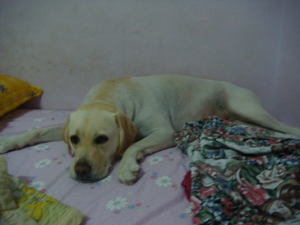 DSC02877.JPG