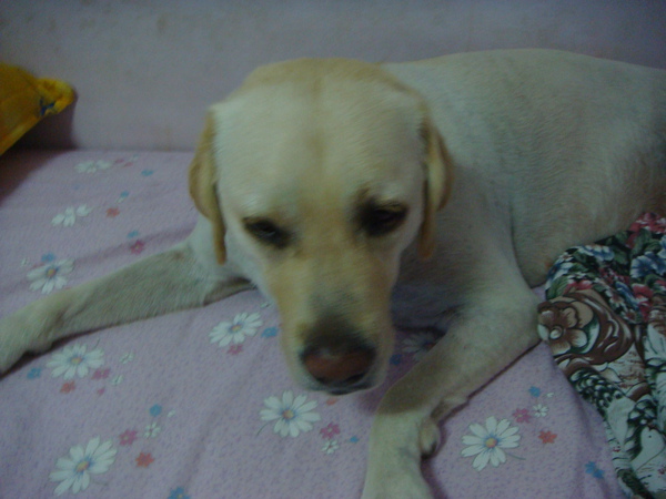 DSC02879.JPG