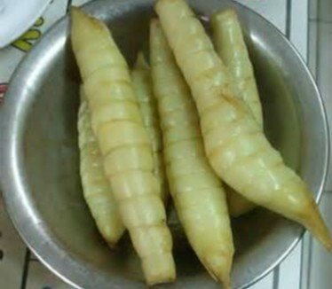 竹薯4