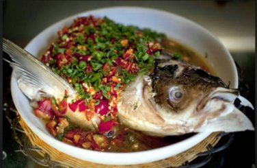 魚頭料理的對話 北北草堂 痞客邦 魚頭料理的對話 北北草堂 痞客邦