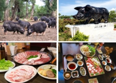 商旅行腳231-琉球ㄚ咕豬.jpg 商旅行腳231-琉球ㄚ咕豬.jpg