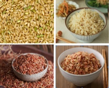 商旅行腳234-糙米與糙米飯.jpg 商旅行腳234-糙米與糙米飯.jpg