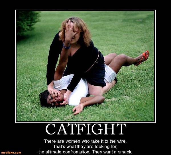 catfight-humor-demotivational-posters-1303716611