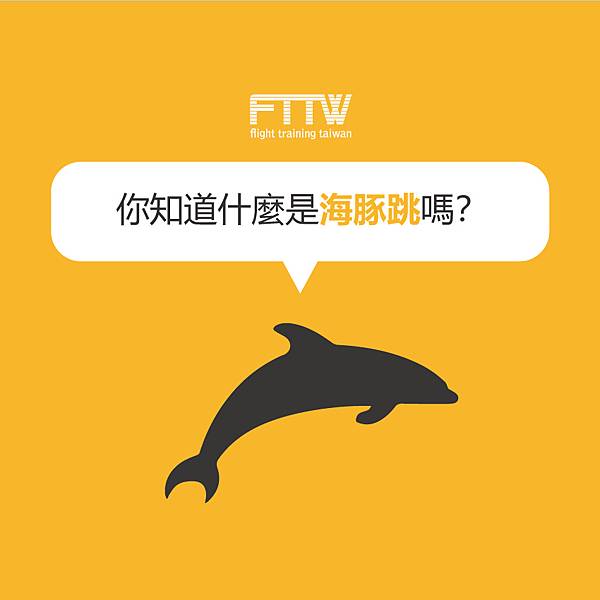 海豚跳主.jpg 海豚跳主.jpg