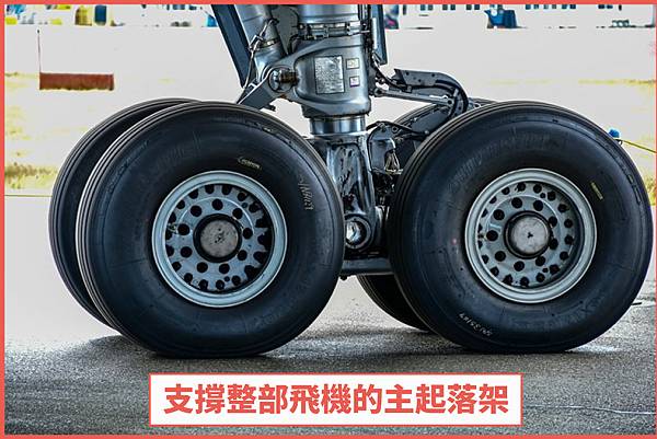 messageImage_1670578791620-2.jpg