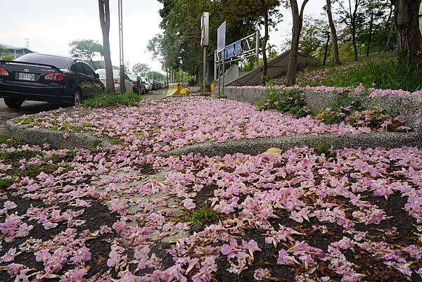 2017-04-11  兒童藝術館