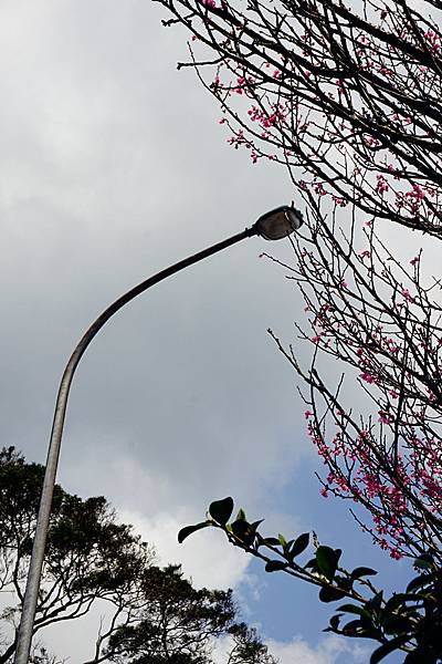 陽明山 ~ (台北一日遊