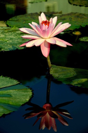 1443170256-2928074469_m 1443170256-2928074469_m