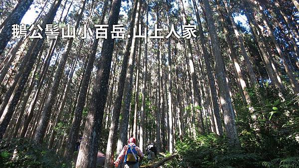 鵝公髻山小百岳.山上人家.jpg