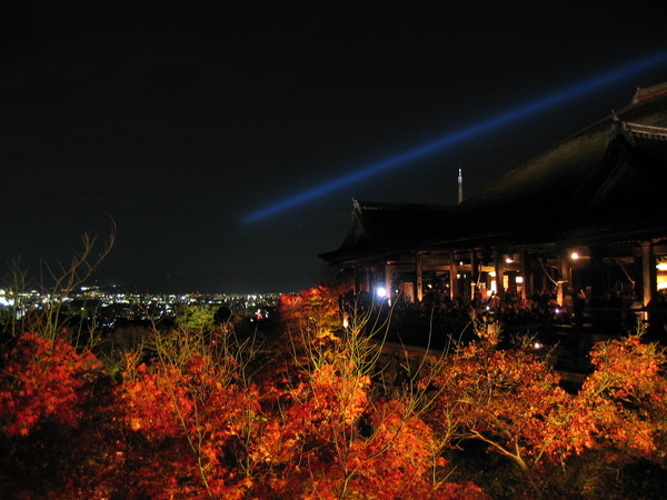 清水寺夜楓