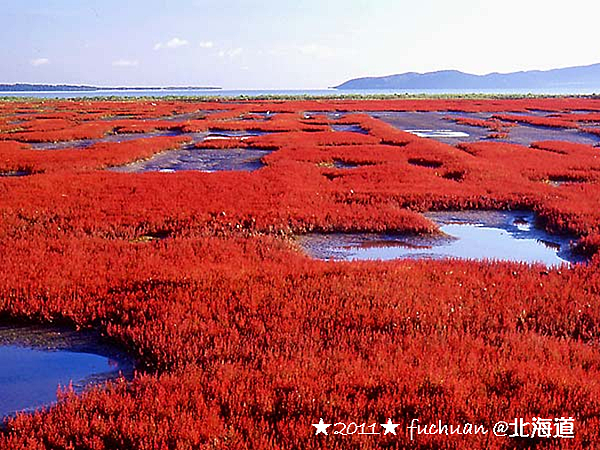 11北海道 秋 樂 網走 能取湖 能取岬 天都山 流氷館 Fuchuan 痞客邦