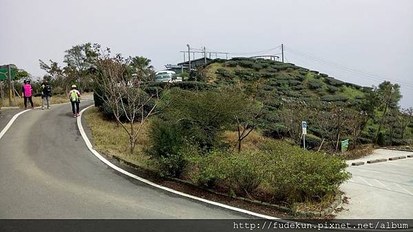 DSC_9791.jpg DSC_9791.jpg