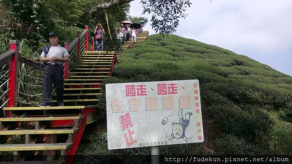 DSC_9797.jpg DSC_9797.jpg