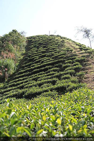 IMG_1882.jpg IMG_1882.jpg