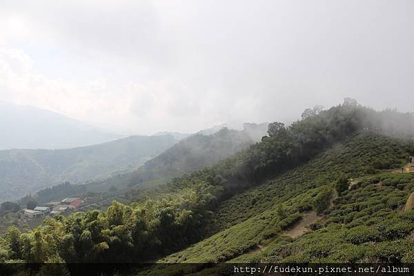 IMG_1888.jpg IMG_1888.jpg