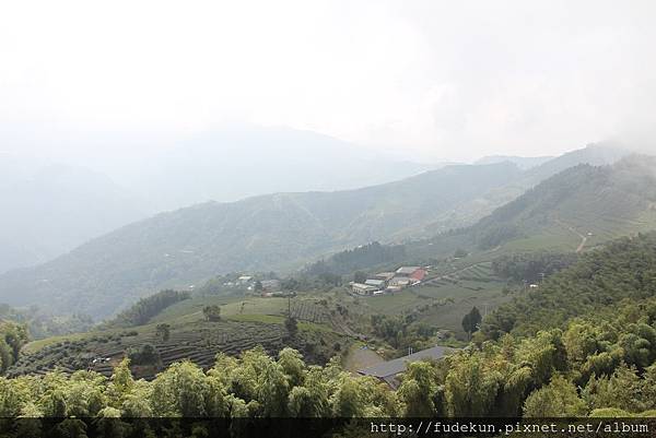 IMG_1890.jpg IMG_1890.jpg