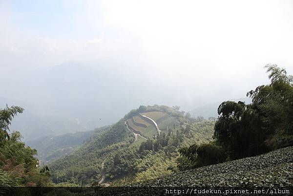 IMG_1893.jpg IMG_1893.jpg