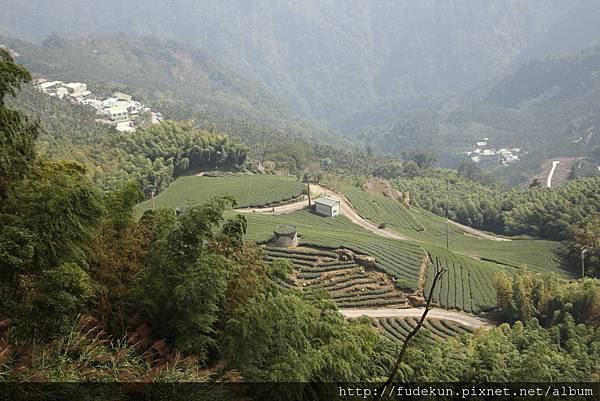 IMG_1892.jpg IMG_1892.jpg