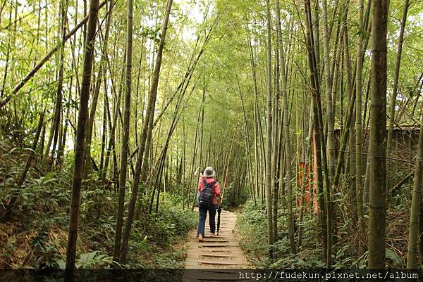 IMG_1895.jpg IMG_1895.jpg