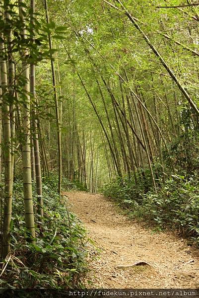 IMG_1896.jpg IMG_1896.jpg