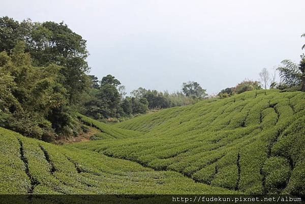 IMG_1902.jpg IMG_1902.jpg