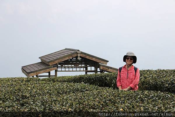 IMG_1901.jpg IMG_1901.jpg