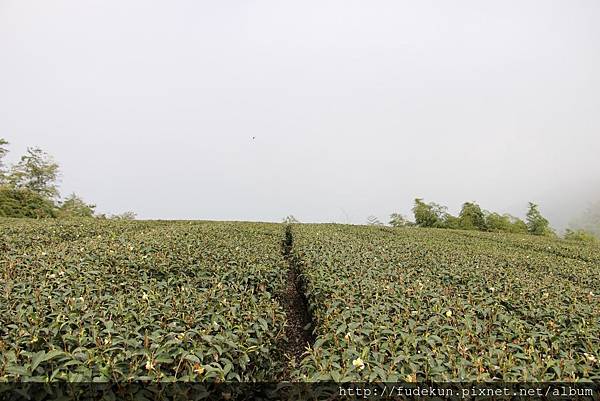 IMG_1898.jpg IMG_1898.jpg