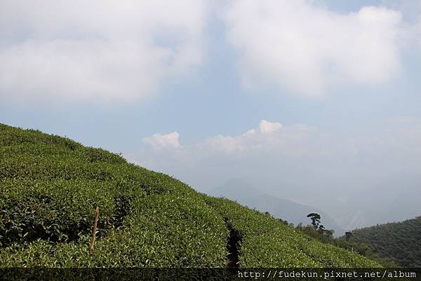 IMG_1908.jpg IMG_1908.jpg