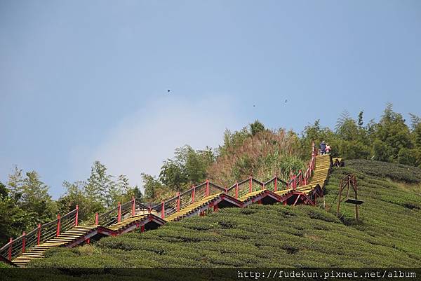 IMG_1909.jpg IMG_1909.jpg