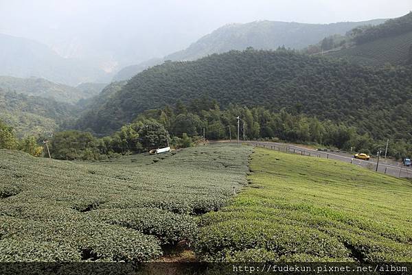 IMG_1905.jpg IMG_1905.jpg