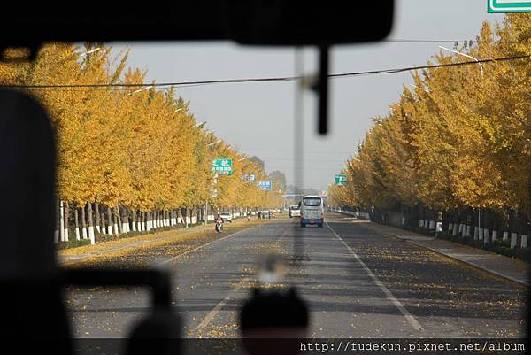 IMG_2092.jpg IMG_2092.jpg