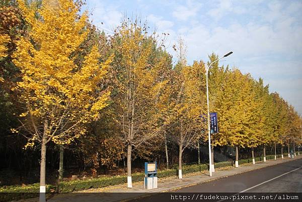 IMG_2088.jpg IMG_2088.jpg