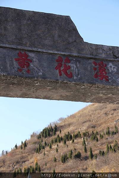 IMG_2103.jpg IMG_2103.jpg